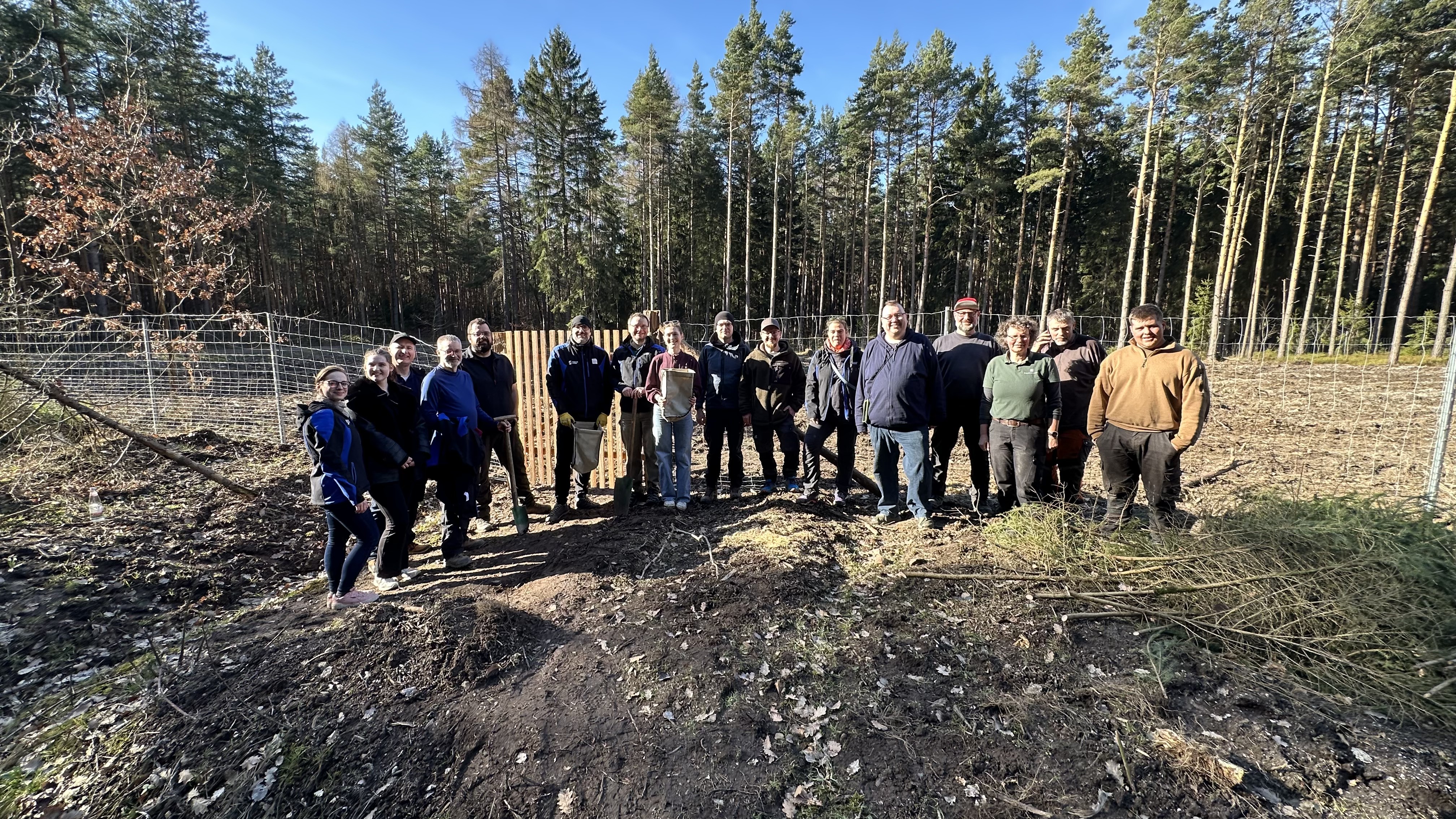 1000 Roteichen für unsere Wälder